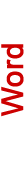 Microsoft Word
